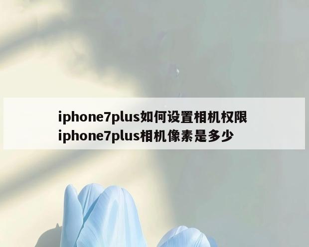 iphone7plus如何设置相机权限 iphone7plus相机像素是多少