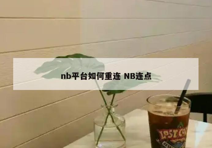 nb平台如何重连 NB连点