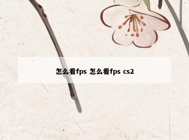 怎么看fps 怎么看fps cs2