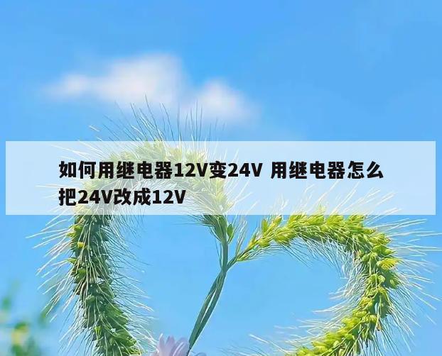 如何用继电器12V变24V 用继电器怎么把24V改成12V