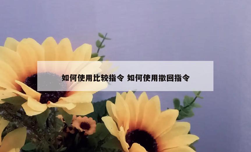 如何使用比较指令 如何使用撤回指令