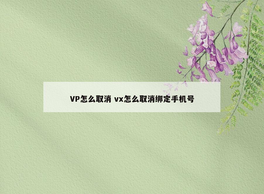 VP怎么取消 vx怎么取消绑定手机号