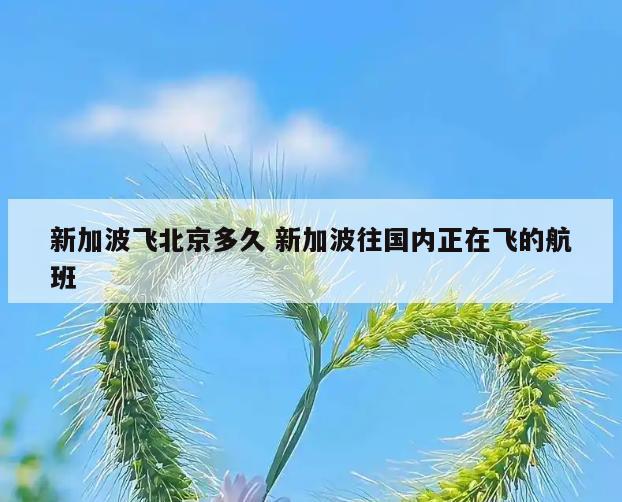 新加波飞北京多久 新加波往国内正在飞的航班