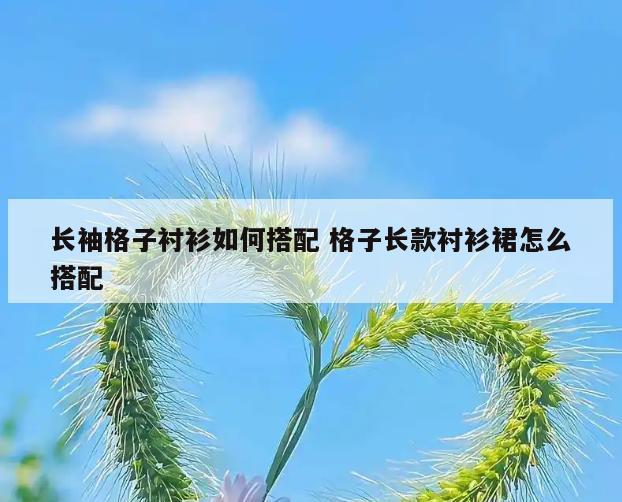 长袖格子衬衫如何搭配 格子长款衬衫裙怎么搭配
