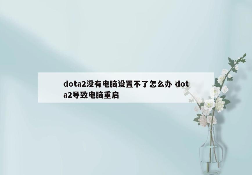 dota2没有电脑设置不了怎么办 dota2导致电脑重启