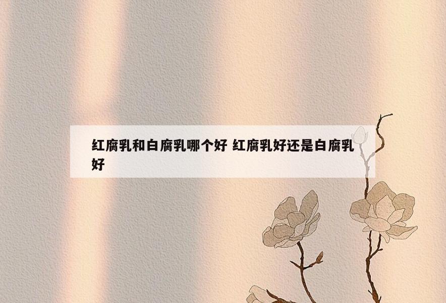 红腐乳和白腐乳哪个好 红腐乳好还是白腐乳好