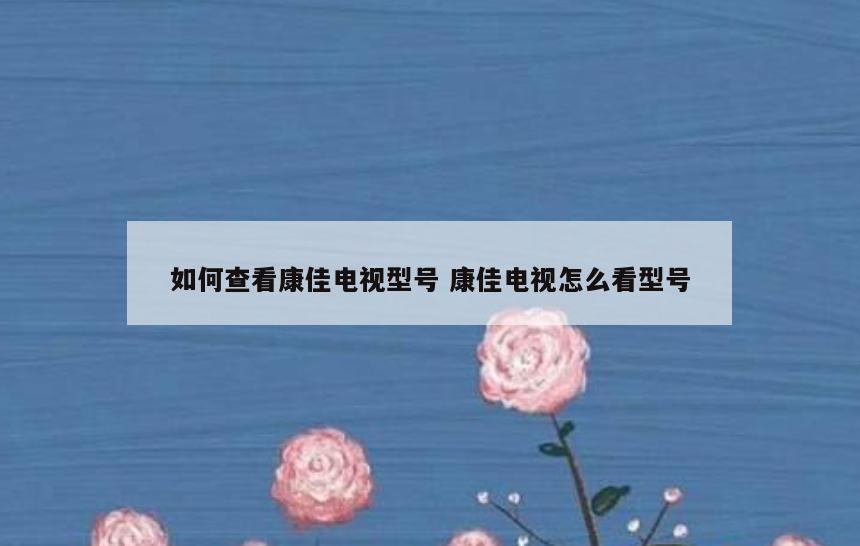 如何查看康佳电视型号 康佳电视怎么看型号