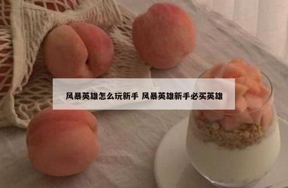 风暴英雄怎么玩新手 风暴英雄新手必买英雄