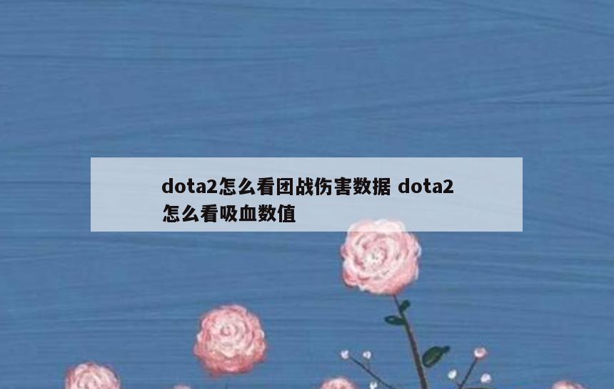 dota2怎么看团战伤害数据 dota2怎么看吸血数值