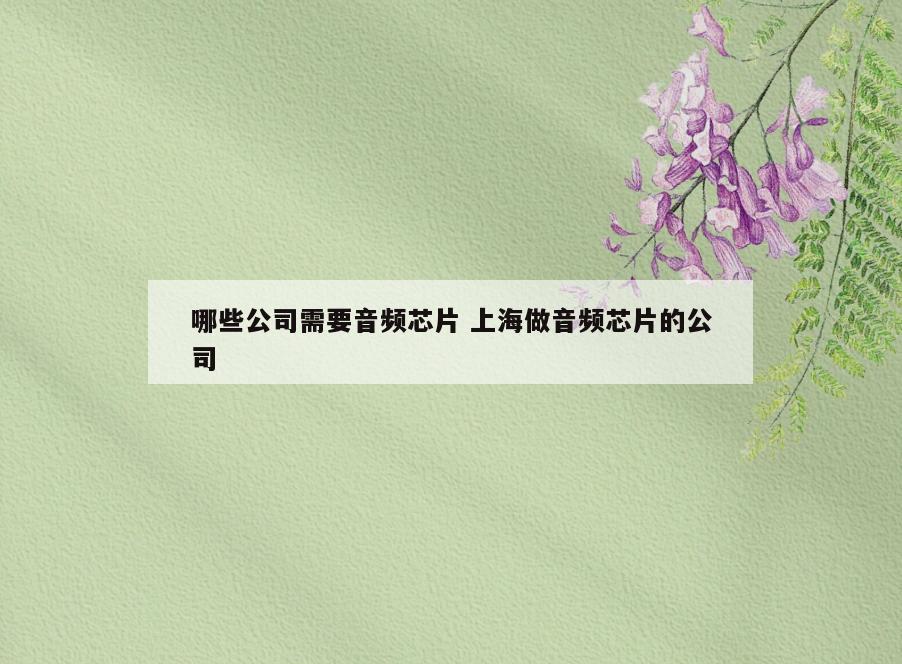 哪些公司需要音频芯片 上海做音频芯片的公司