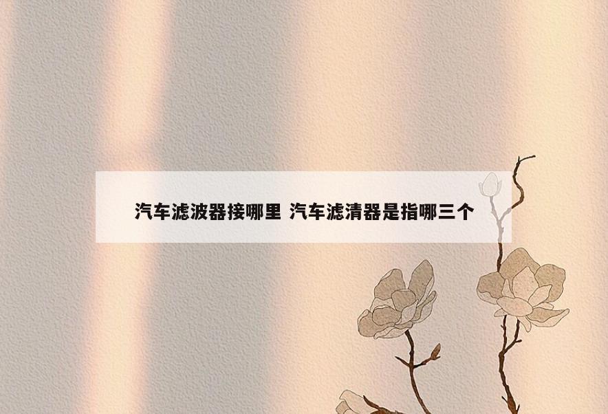 汽车滤波器接哪里 汽车滤清器是指哪三个