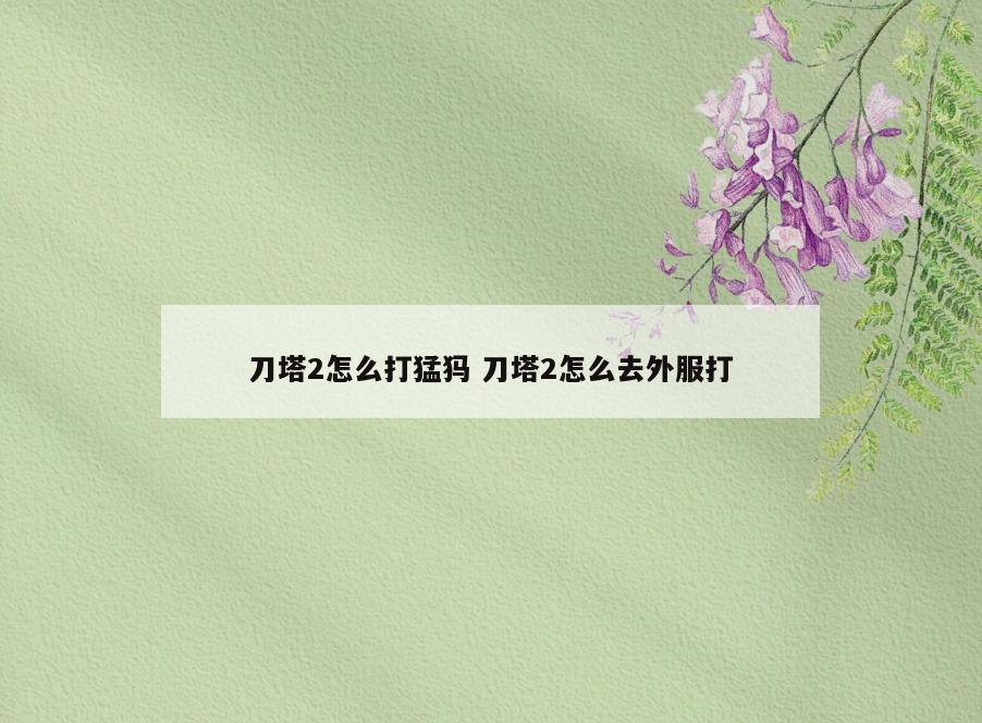 刀塔2怎么打猛犸 刀塔2怎么去外服打