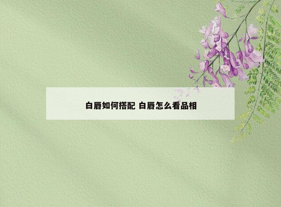 白唇如何搭配 白唇怎么看品相