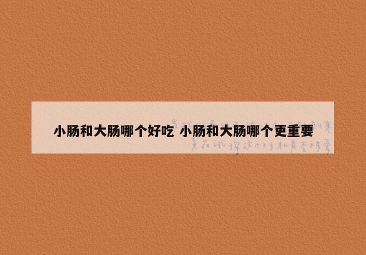 小肠和大肠哪个好吃 小肠和大肠哪个更重要