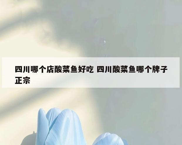 四川哪个店酸菜鱼好吃 四川酸菜鱼哪个牌子正宗