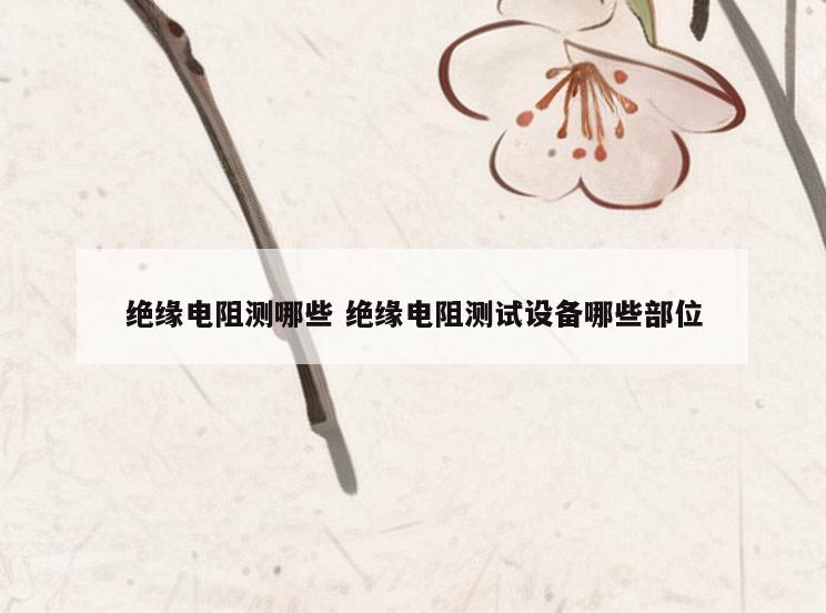 绝缘电阻测哪些 绝缘电阻测试设备哪些部位