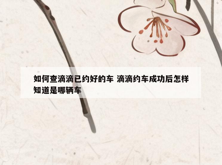 如何查滴滴已约好的车 滴滴约车成功后怎样知道是哪辆车