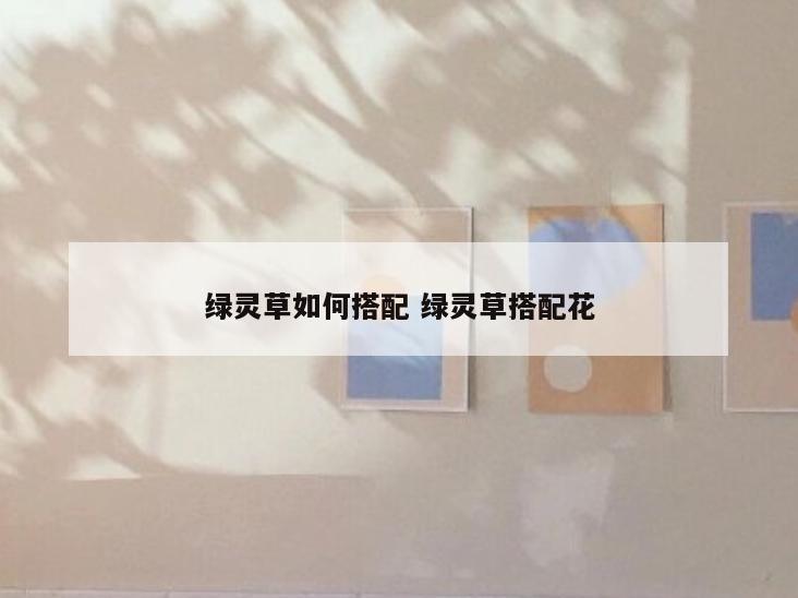 绿灵草如何搭配 绿灵草搭配花