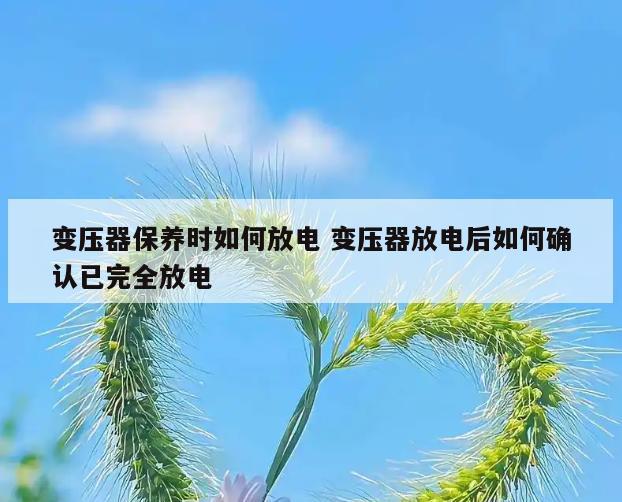 变压器保养时如何放电 变压器放电后如何确认已完全放电