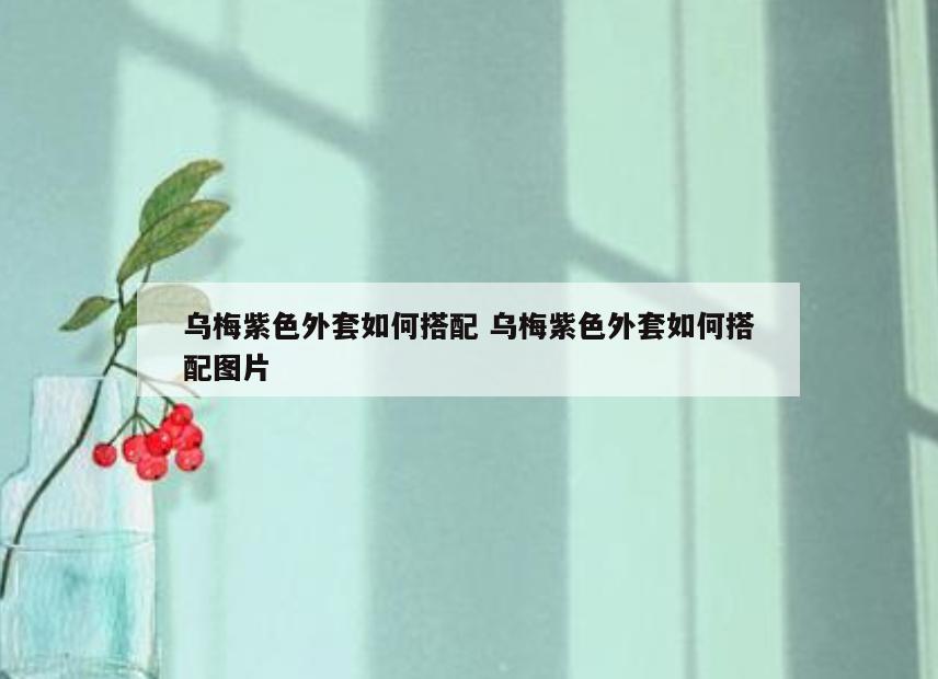乌梅紫色外套如何搭配 乌梅紫色外套如何搭配图片