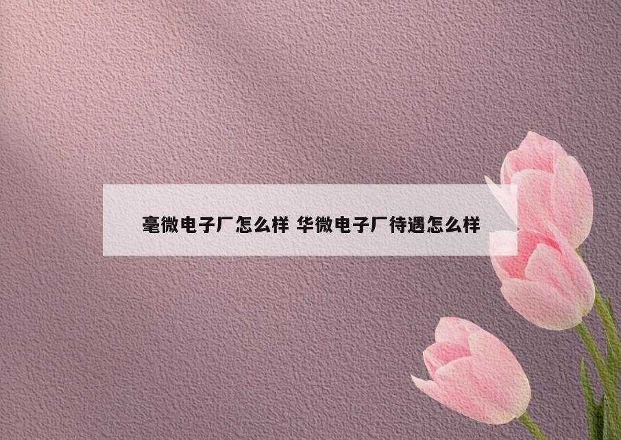 毫微电子厂怎么样 华微电子厂待遇怎么样