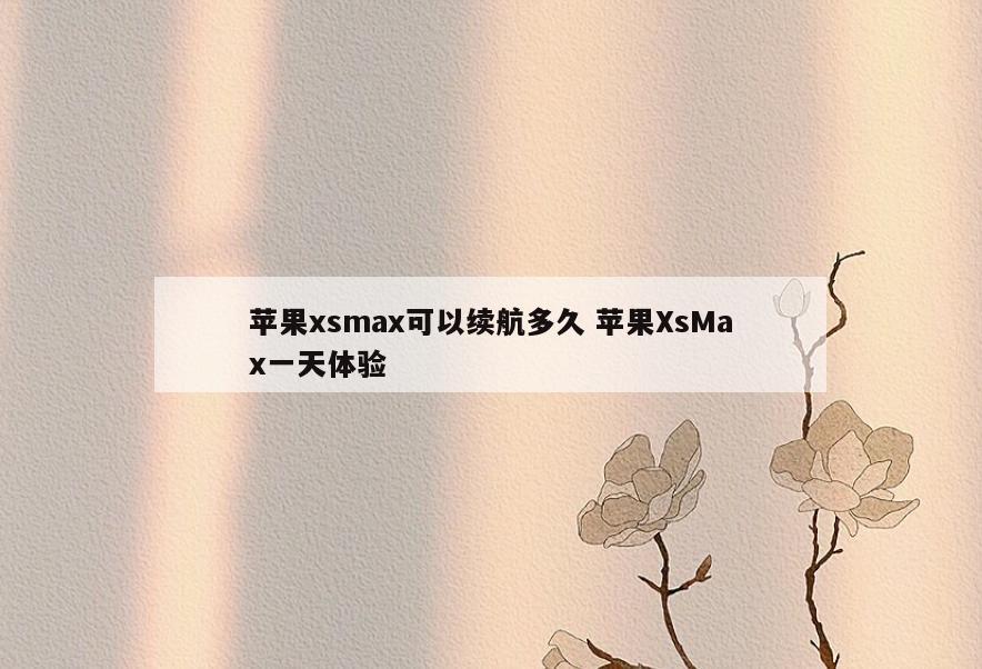 苹果xsmax可以续航多久 苹果XsMax一天体验