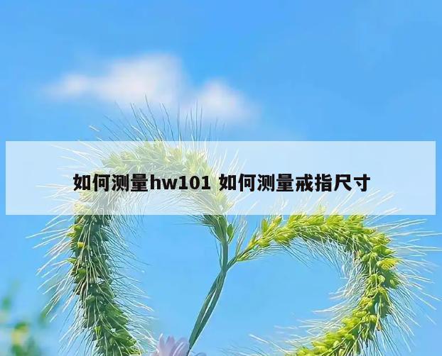 如何测量hw101 如何测量戒指尺寸