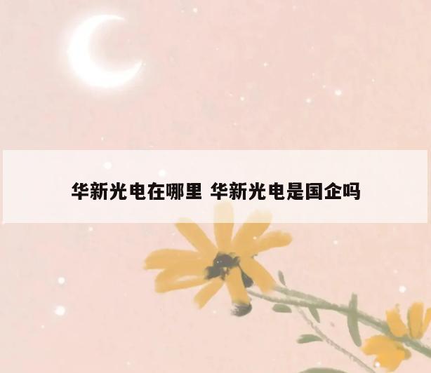 华新光电在哪里 华新光电是国企吗