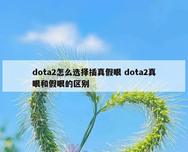 dota2怎么选择插真假眼 dota2真眼和假眼的区别