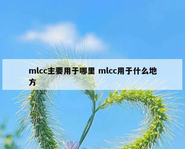 mlcc主要用于哪里 mlcc用于什么地方