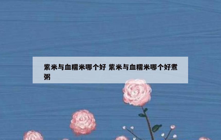 紫米与血糯米哪个好 紫米与血糯米哪个好煮粥