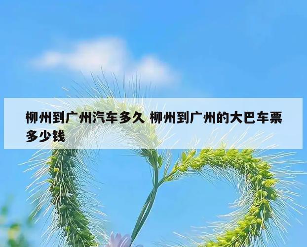柳州到广州汽车多久 柳州到广州的大巴车票多少钱