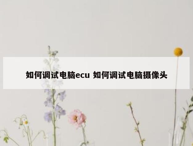 如何调试电脑ecu 如何调试电脑摄像头