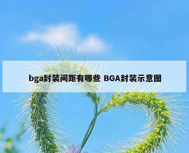 bga封装间距有哪些 BGA封装示意图