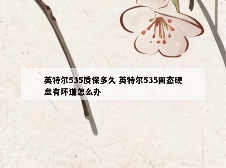 英特尔535质保多久 英特尔535固态硬盘有坏道怎么办