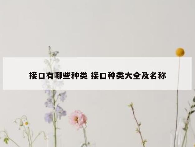 接口有哪些种类 接口种类大全及名称