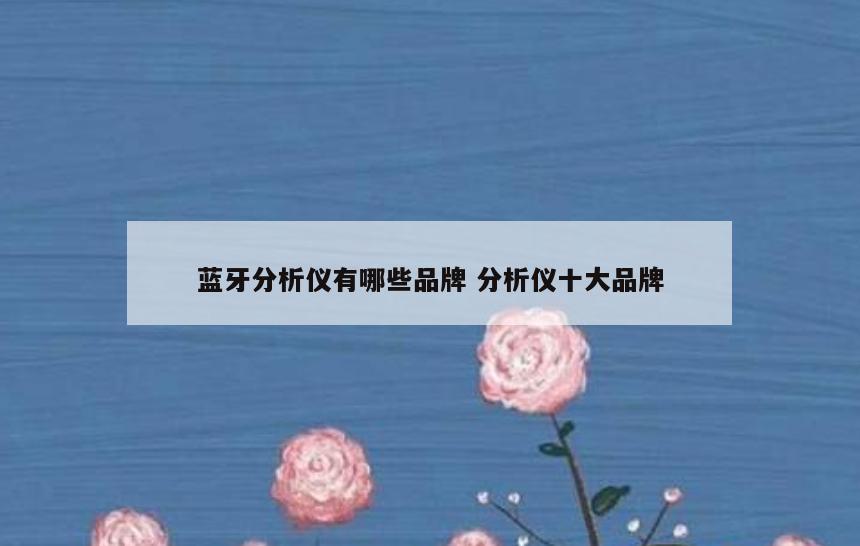 蓝牙分析仪有哪些品牌 分析仪十大品牌