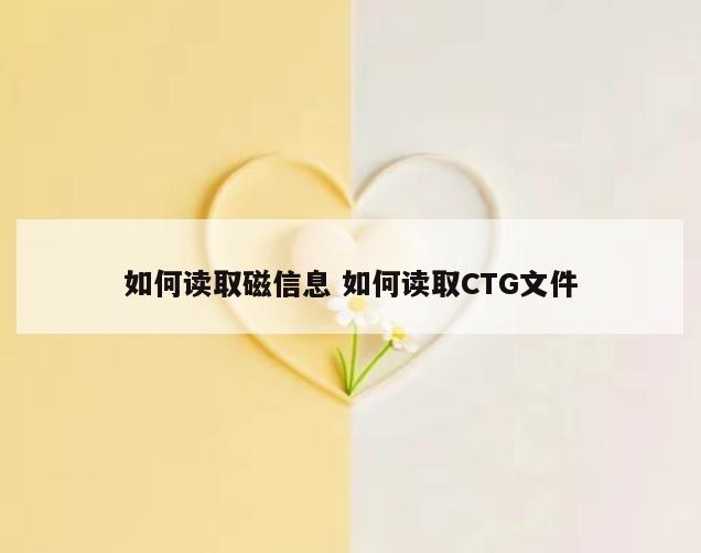 如何读取磁信息 如何读取CTG文件