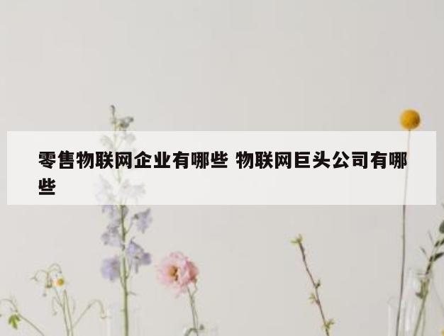 零售物联网企业有哪些 物联网巨头公司有哪些