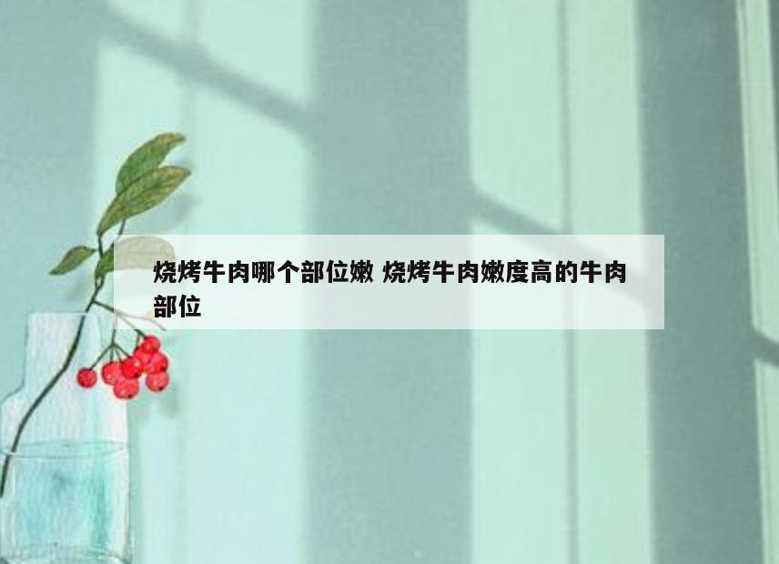 烧烤牛肉哪个部位嫩 烧烤牛肉嫩度高的牛肉部位
