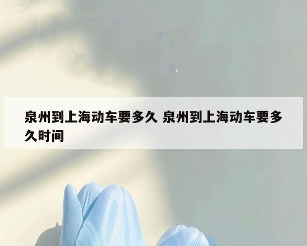 泉州到上海动车要多久 泉州到上海动车要多久时间