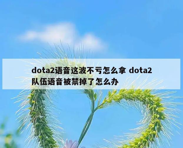 dota2语音这波不亏怎么拿 dota2队伍语音被禁掉了怎么办