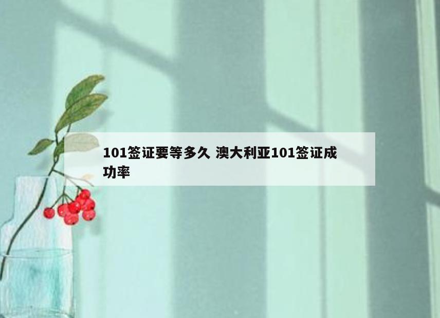 101签证要等多久 澳大利亚101签证成功率