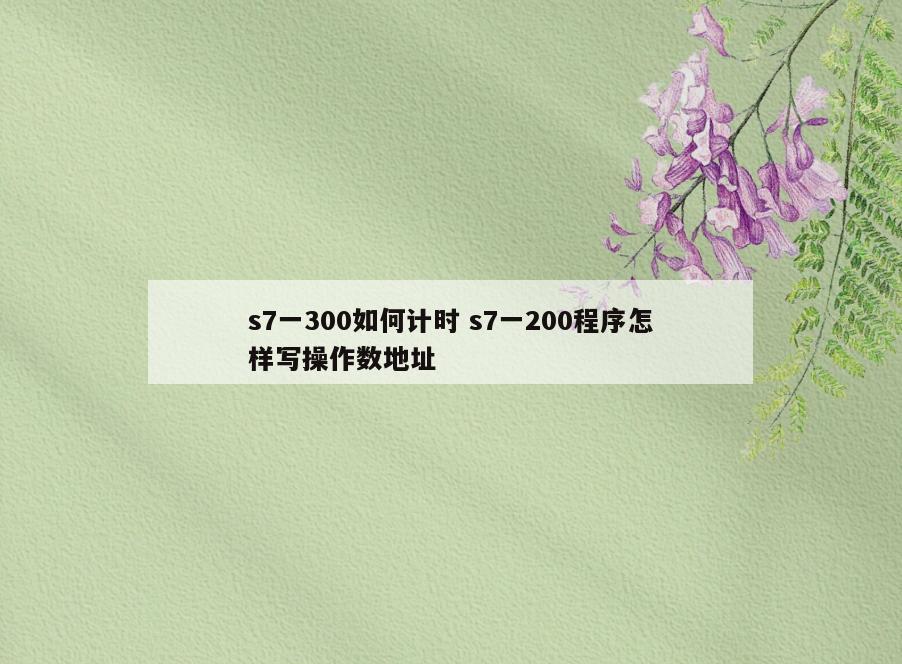 s7一300如何计时 s7一200程序怎样写操作数地址
