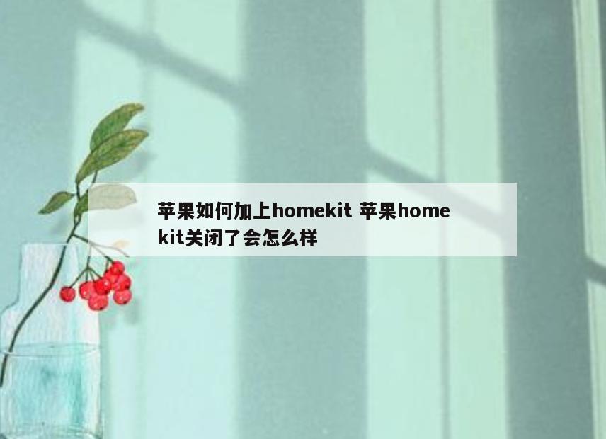 苹果如何加上homekit 苹果homekit关闭了会怎么样