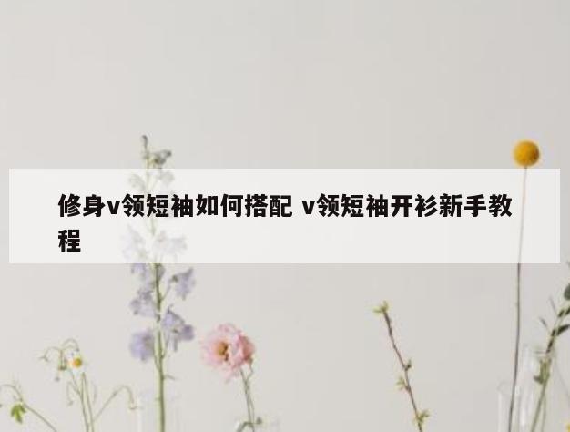 修身v领短袖如何搭配 v领短袖开衫新手教程
