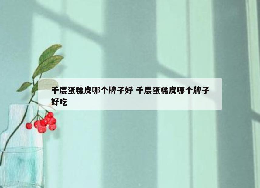 千层蛋糕皮哪个牌子好 千层蛋糕皮哪个牌子好吃