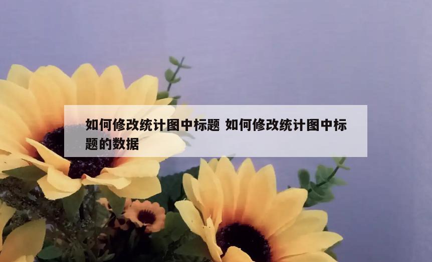 如何修改统计图中标题 如何修改统计图中标题的数据