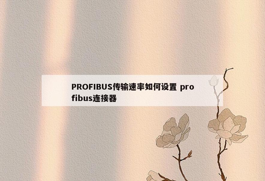PROFIBUS传输速率如何设置 profibus连接器
