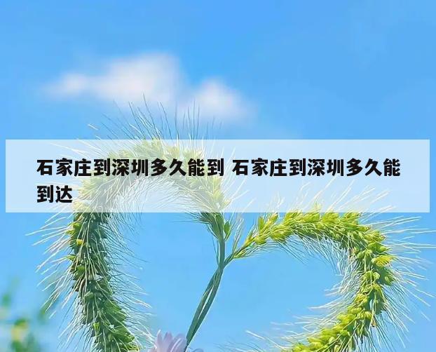 石家庄到深圳多久能到 石家庄到深圳多久能到达
